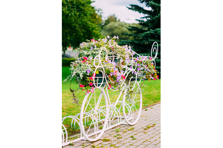 White Decorative Bicycle Parking In, a Nature Photo by Our Amazing World