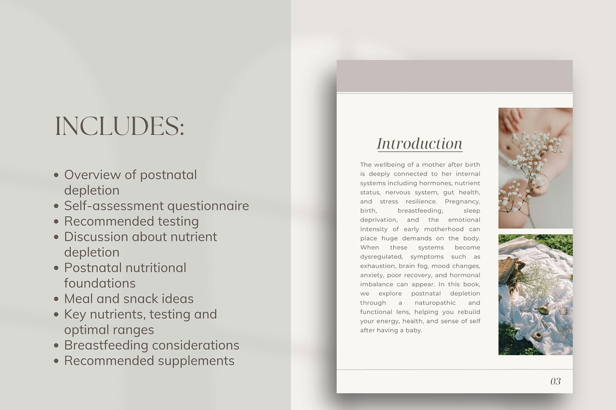 Postnatal Depletion DFY Ebook Canva, a Presentation Template by Naturopath Hub (Photo 5 of 11)