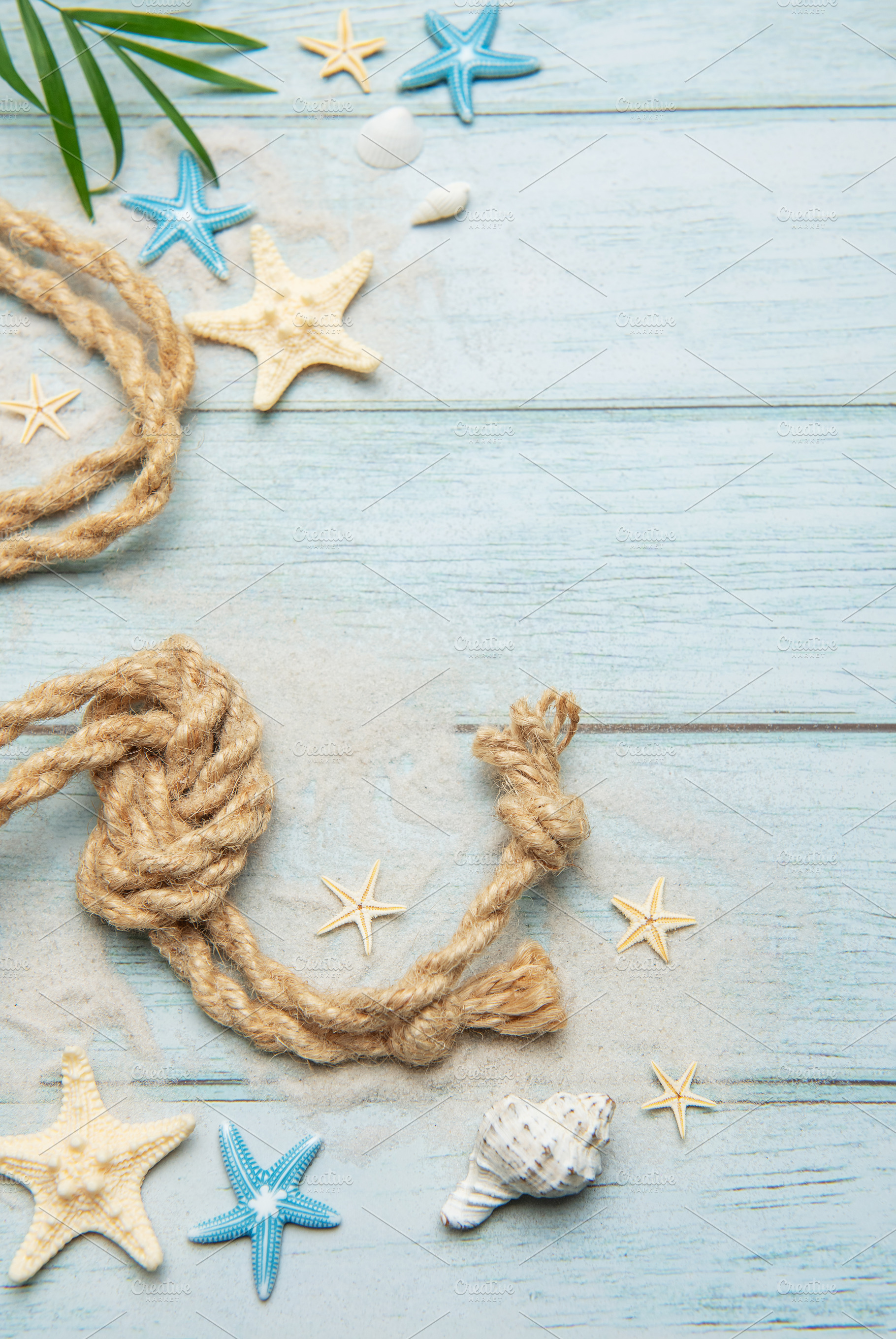 Summer concept with palm leaf, rope, seashells and starfishes on, a Holiday Photo by Olena Rudo