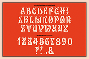 Sonderful Display Font, a Handwritten Font by Tom Gordon Design (Thumbnail 2 of 2)