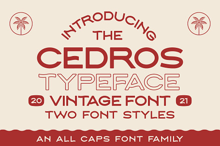 Cedros Typeface, a Sans Serif Font by NienowBrand
