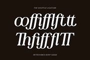 The Shuffle - Retro Serif Font, a Serif Font by Flawless And Co (Thumbnail 7 of 10)
