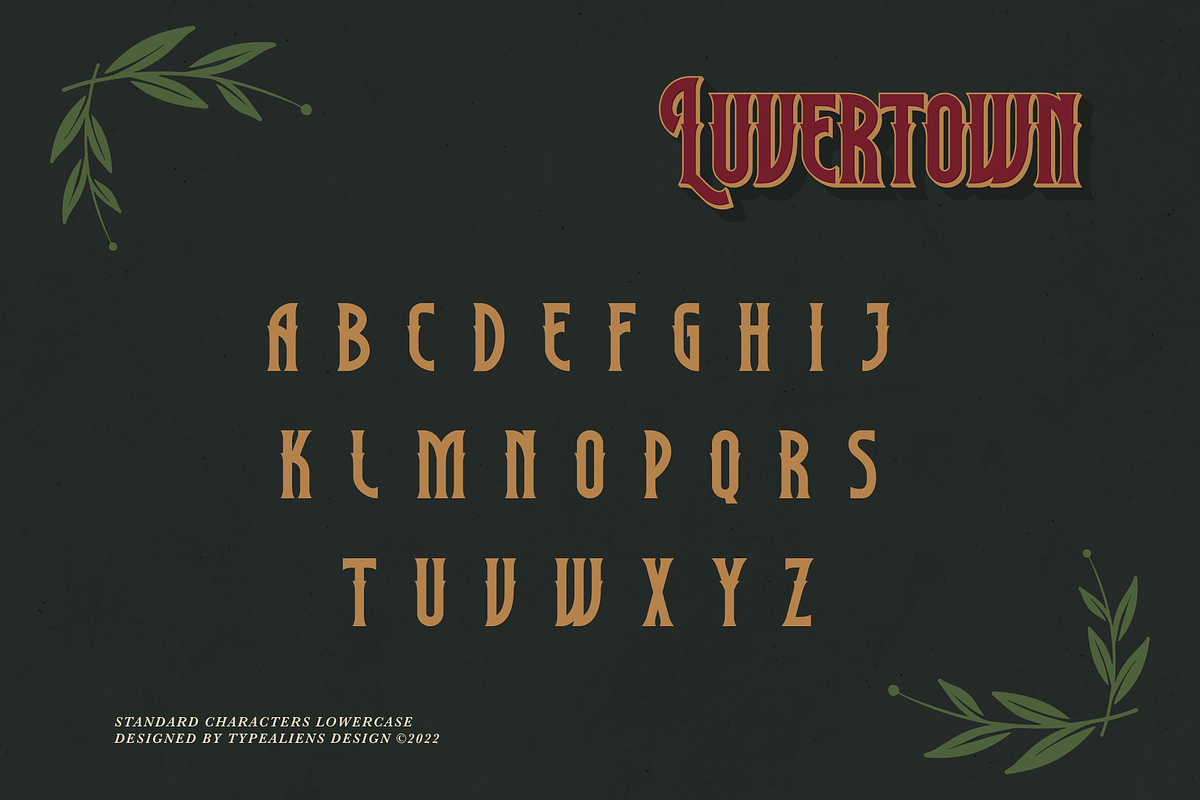 Luvertown, a Serif Font by ilhamtaro (Photo 7 of 11)