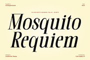 CS Reigate Drawn, a Serif Font by Craft Supply Co. (Thumbnail 3 of 8)