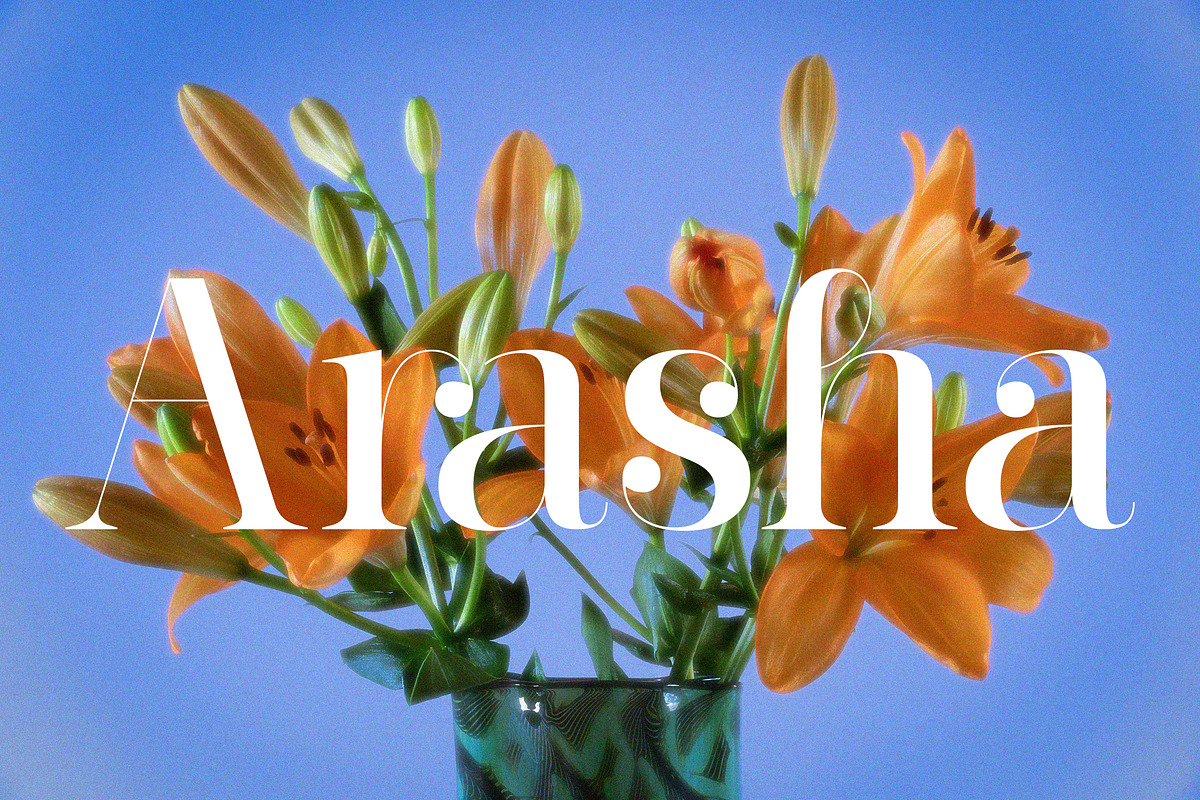 Barfiola Typeface, a Serif Font by MJtypefoundry (Photo 5 of 14)