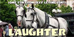 Laughter JNL