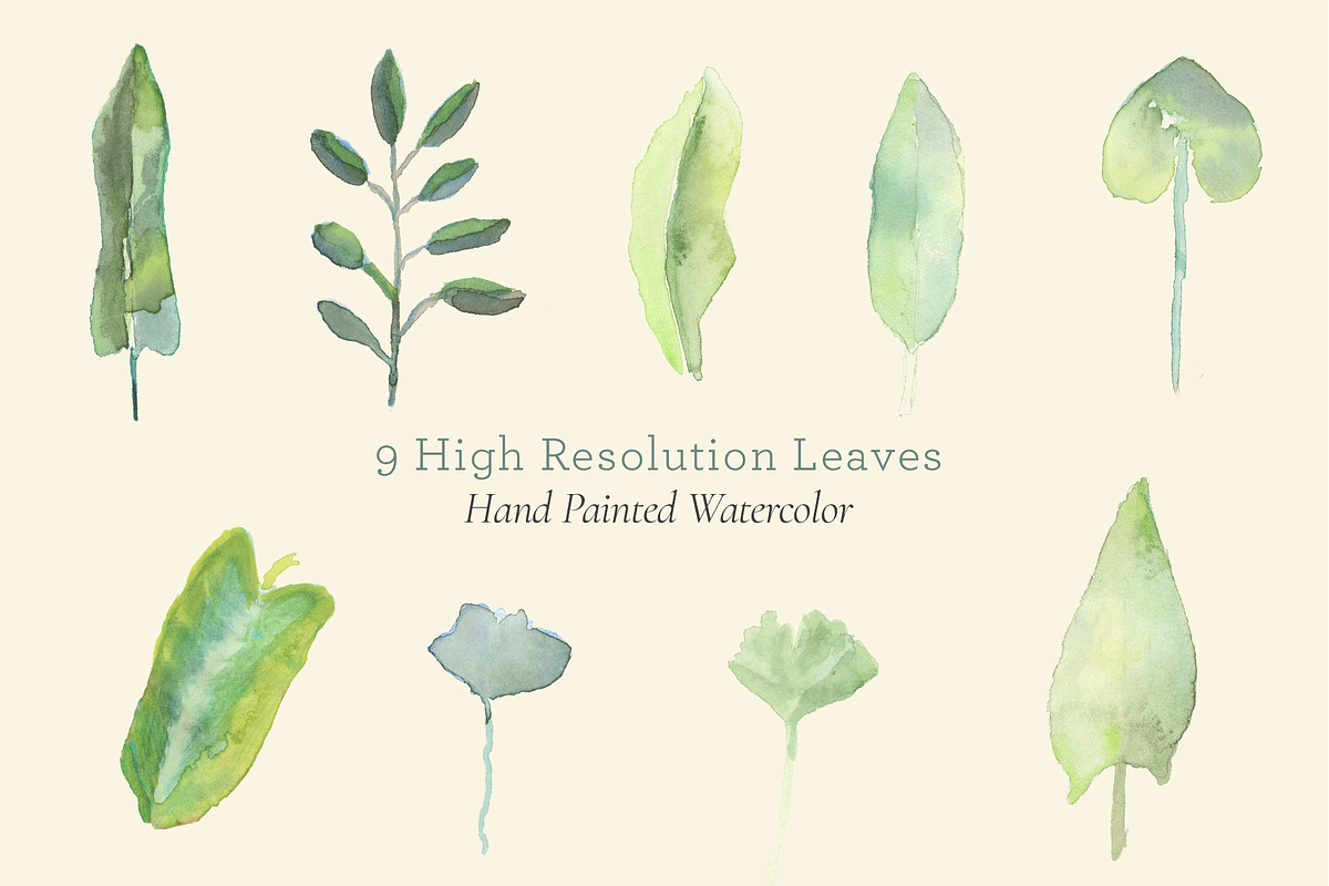 Botanical Watercolor Leaves, a Texture Graphic by Carolyn Packard Design (Photo 2 of 8)