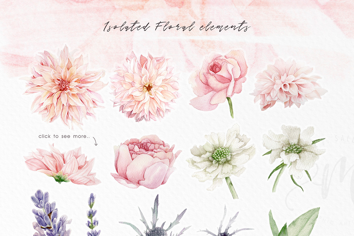 BlushPink Watercolor Floral Clipart, an Illustration by May • SHO (Photo 2 of 15)