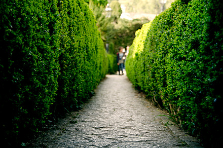 The way stock photograph