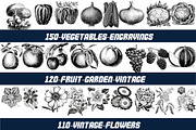 1800+ Vector Illustration Bundle, an Illustration by Chipshpow Graphics (Thumbnail 4 of 11)