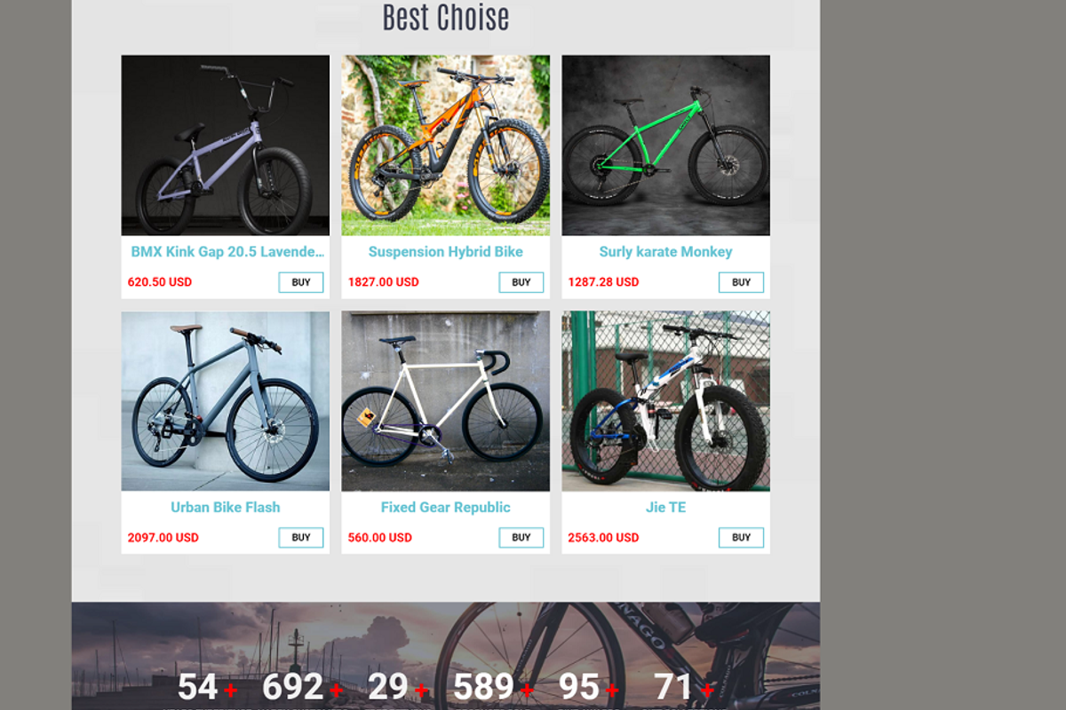 Bicycle Website Template, a Websites & App Template by Ordasoft (Photo 2 of 3)
