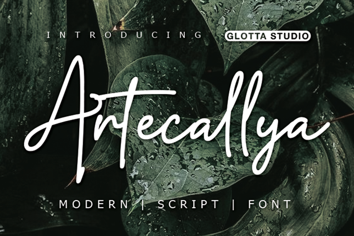 Artecallya, a Script Font by GlottaTypeface (Photo 1 of 8)