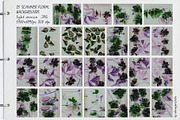 BLOOMSHIFT glitch floral backgrounds, a Background Graphic by alenaganzhela (Thumbnail 7 of 8)