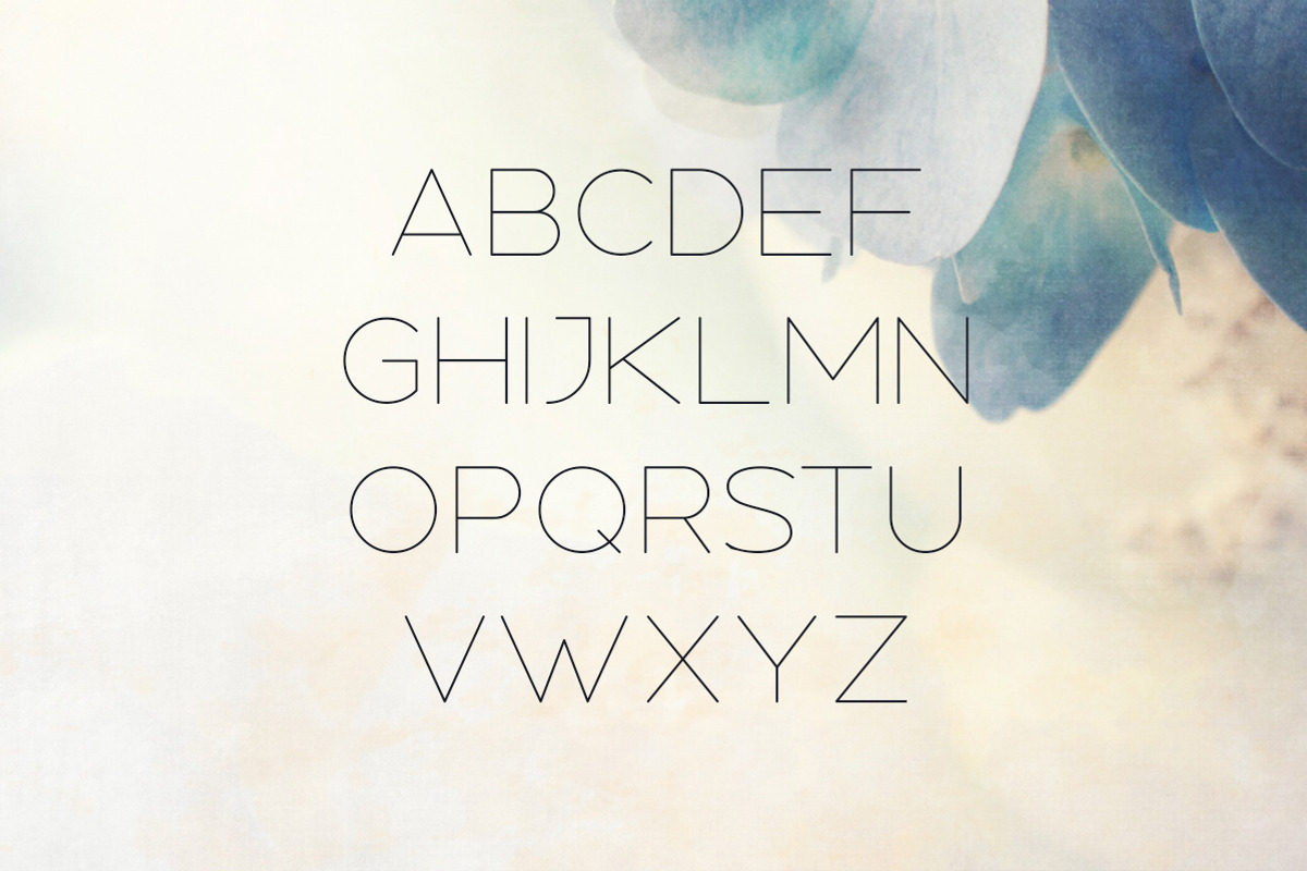 Nectar Typeface, a Sans Serif Font by Tugcu Design Co. (Photo 2 of 5)