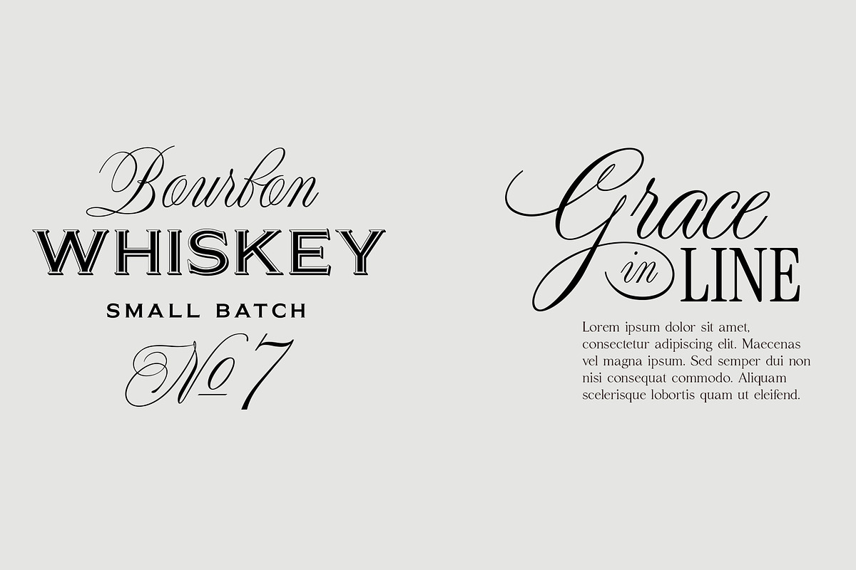Night Train Script — Elegant Font, a Script Font by vatesdesign (Photo 6 of 10)