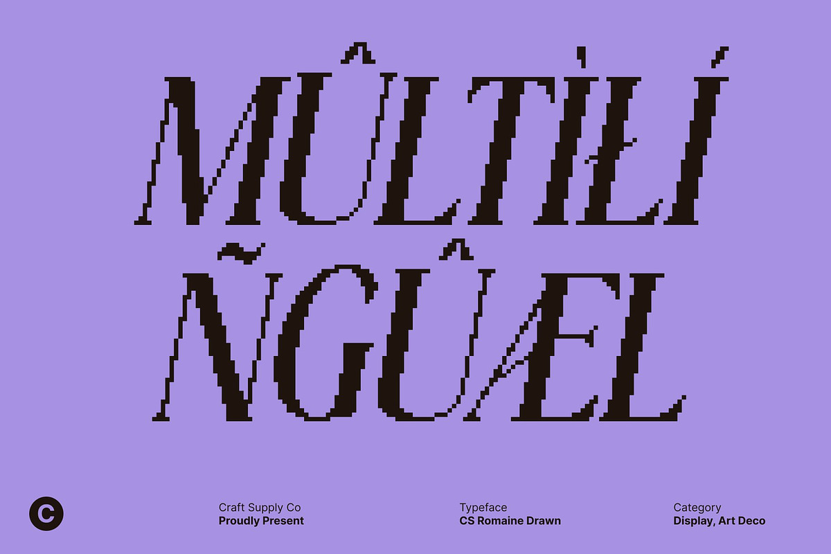 CS Alma Pixel, a Serif Font by Craft Supply Co. (Photo 7 of 8)