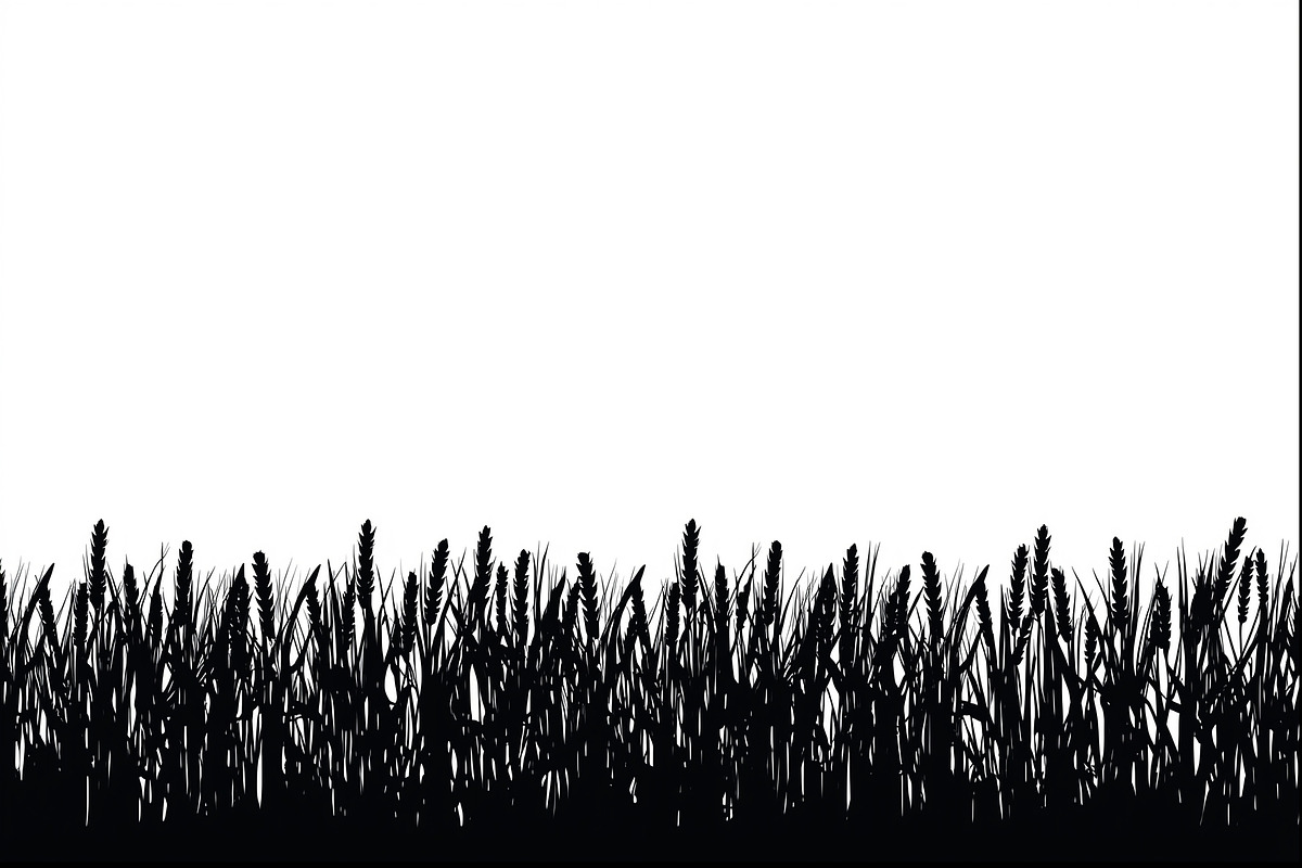 Rustic Wheat Field Vector Borders, an Illustration by hafijul (Photo 5 of 9)