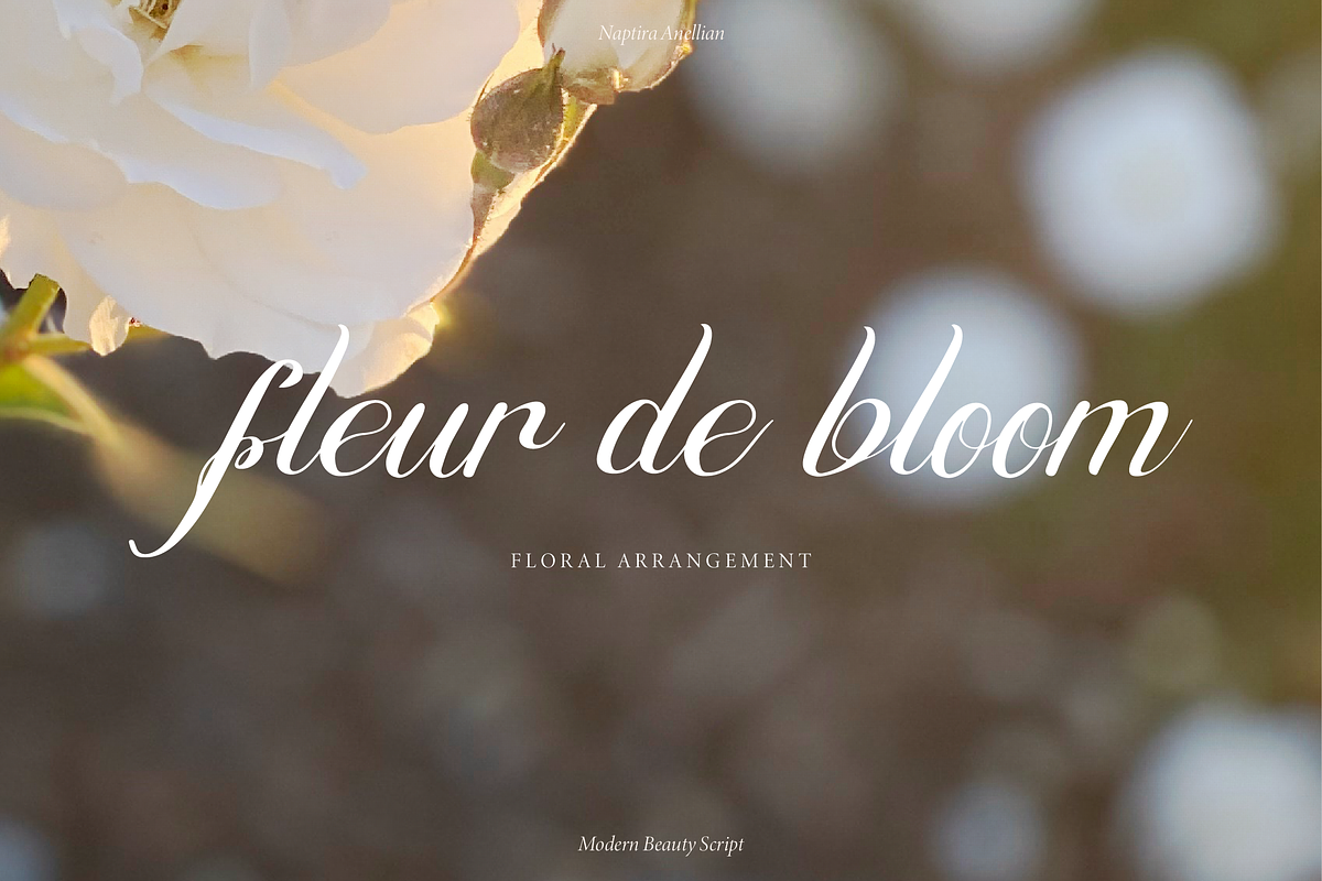 Naptira Anellian | Beauty Script, a Script Font by gracetype_studio (Photo 2 of 15)