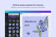 Berries Vector Illustration Pack, an Illustration by Castula (Thumbnail 16 of 17)