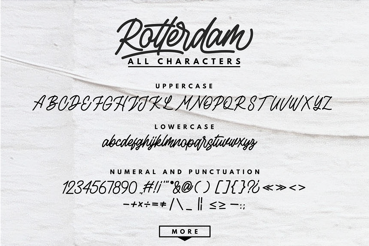 Rottordam - Regular, Thin, and Bold, a Script Font by Inspiratype (Photo 13 of 14)