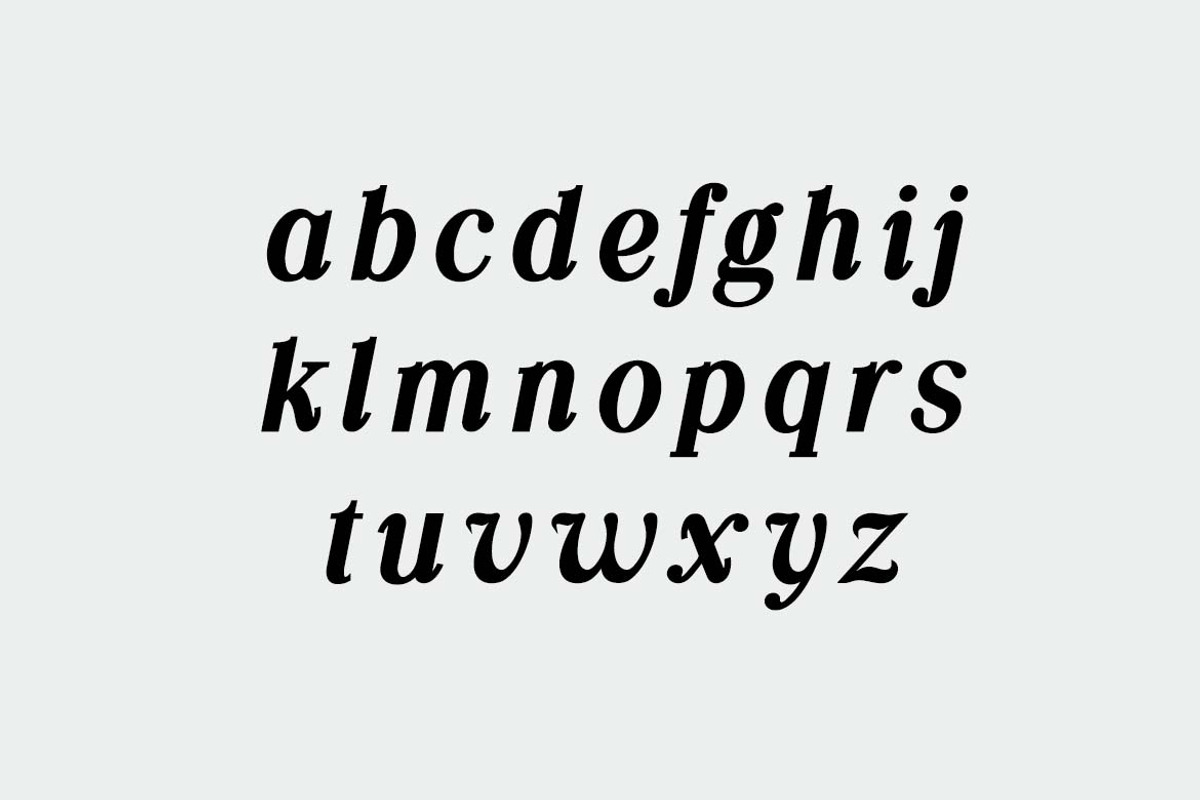 Silvex Editorial Serif Family Font, a Serif Font by UICreative (Photo 12 of 13)