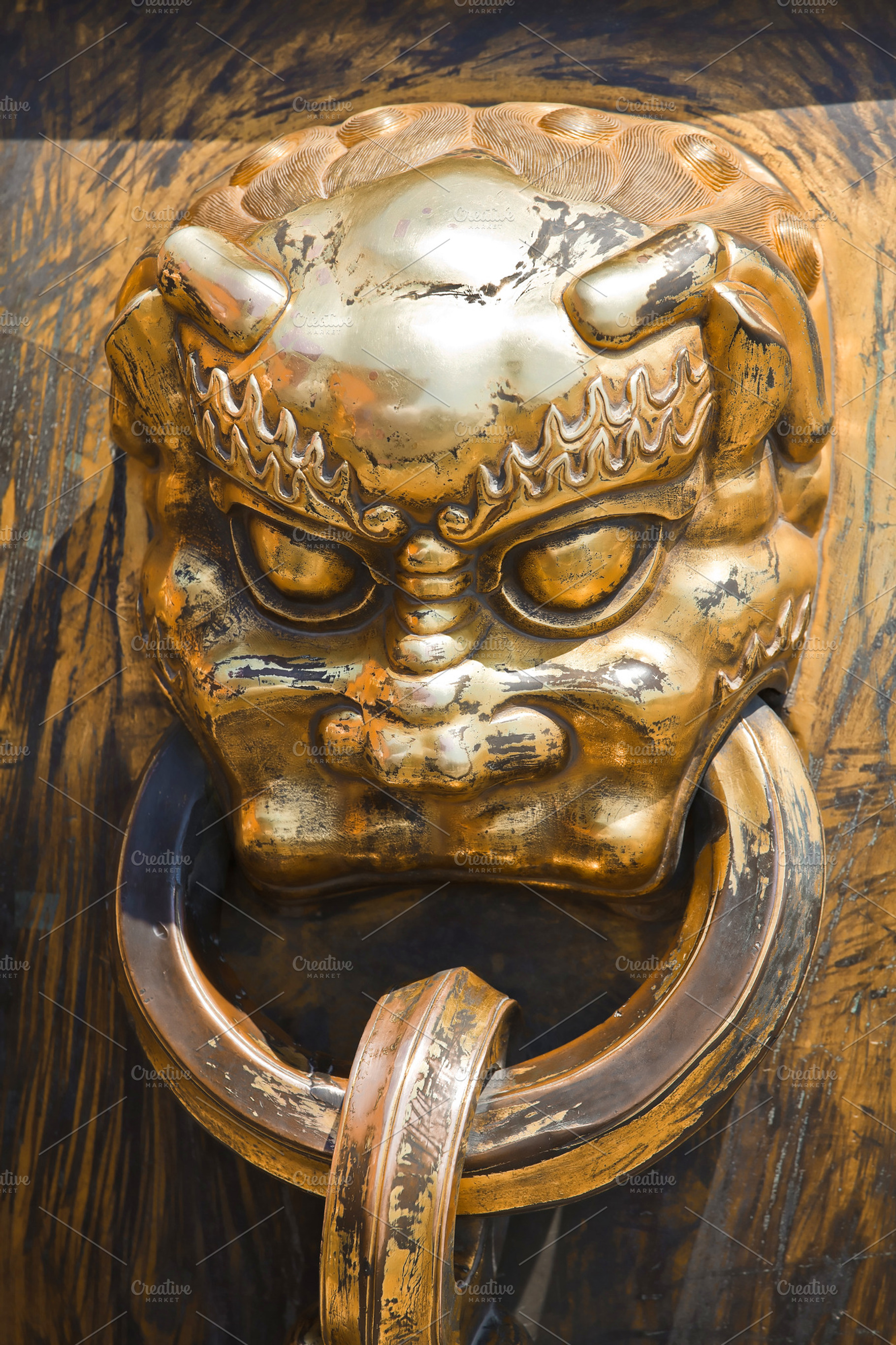 Ancient bronze lion, an Arts & Entertainment Photo by Vector Tradition