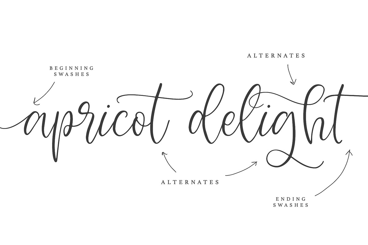 Apricot Delight Romantic Script preview 5
