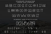 Winter Tomorrow, a Sans Serif Font by FreshTypeINK (Thumbnail 6 of 8)