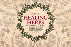 Healing Herbs * Botanical Bundle, a Healthcare Illustration by Ink Stories