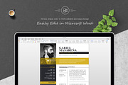 Professional Word Resume CV Template, a Resume Template by ResumeInventor (Thumbnail 5 of 6)