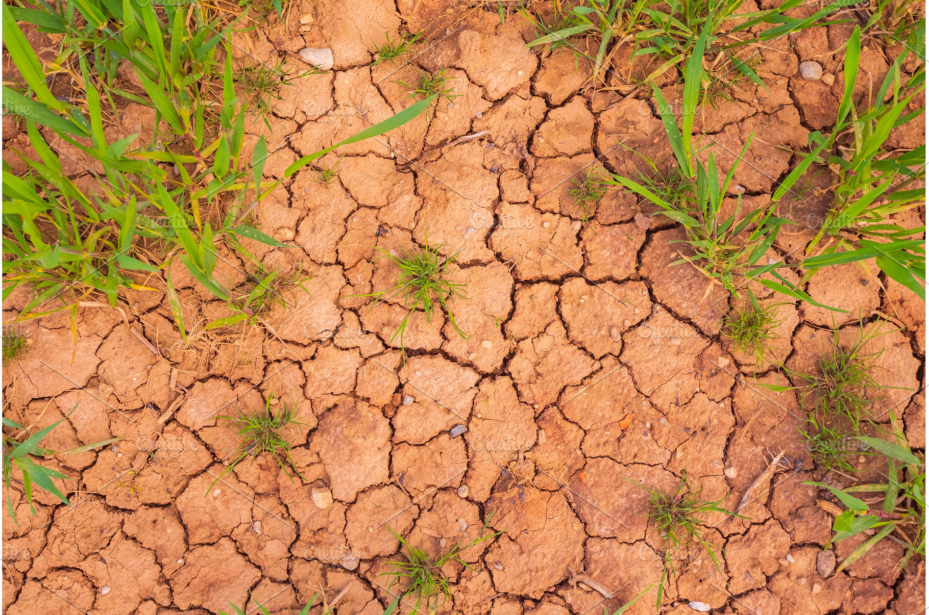 Cracked earth, metaphoric for, an Abstract Photo by Lukas Jonaitis SHOP