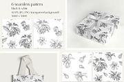 Flowers Ylang Ylang. Botanical set, an Object Graphic by ON_lineart_store (Thumbnail 6 of 8)