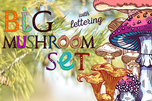 Wild Forest Mushrooms Set