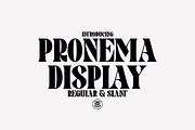 Pronema - Modern Serif, a Serif Font by tebaltipislab (Thumbnail 1 of 13)