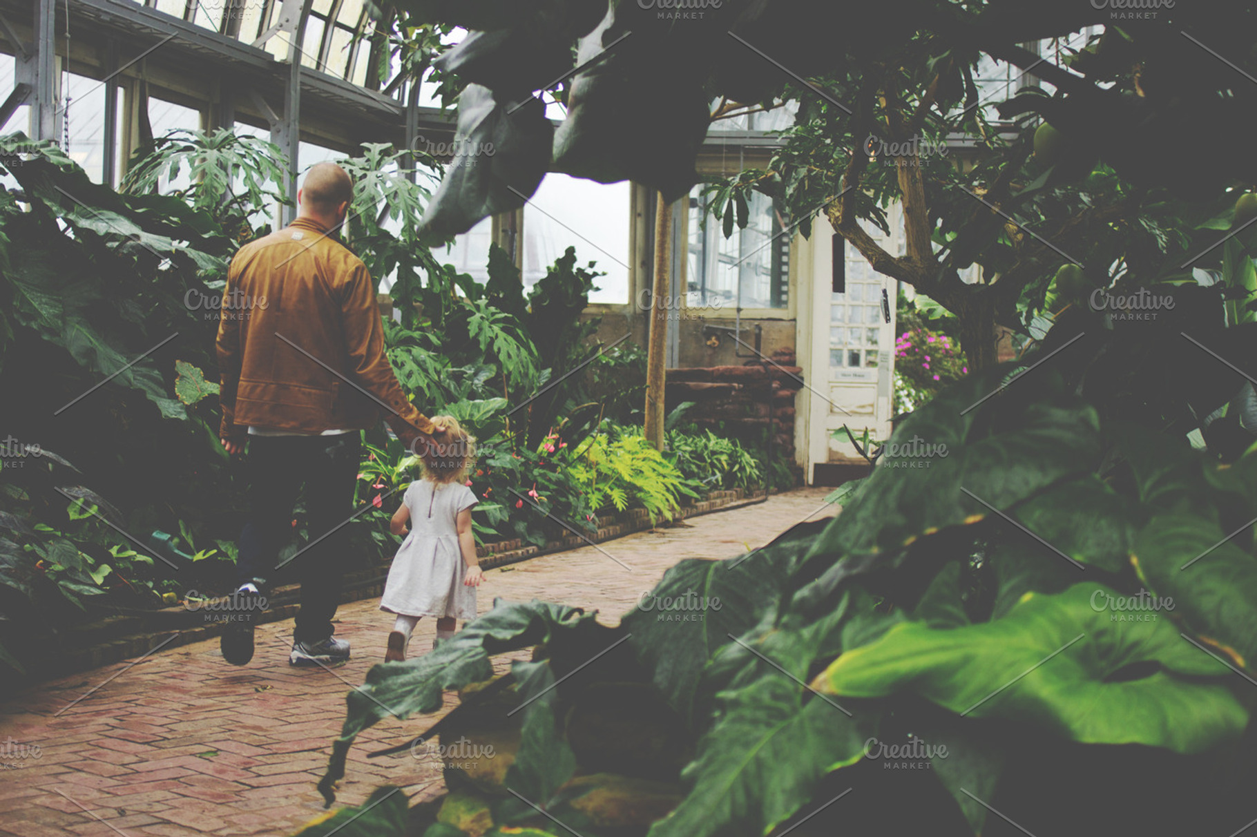 Walk in the Conservatory, a Person Photo by baker2512