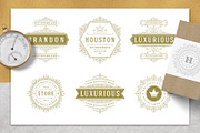 36 Luxury Ornament Logos, a Branding & Logo Template by Vasya Kobelev (Thumbnail 7 of 13)
