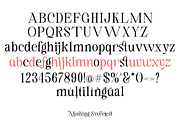 Morning Sweetest - New Classic Serif, a Serif Font by TypeClassHeroes (Thumbnail 9 of 15)