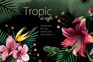 Tropic At Night