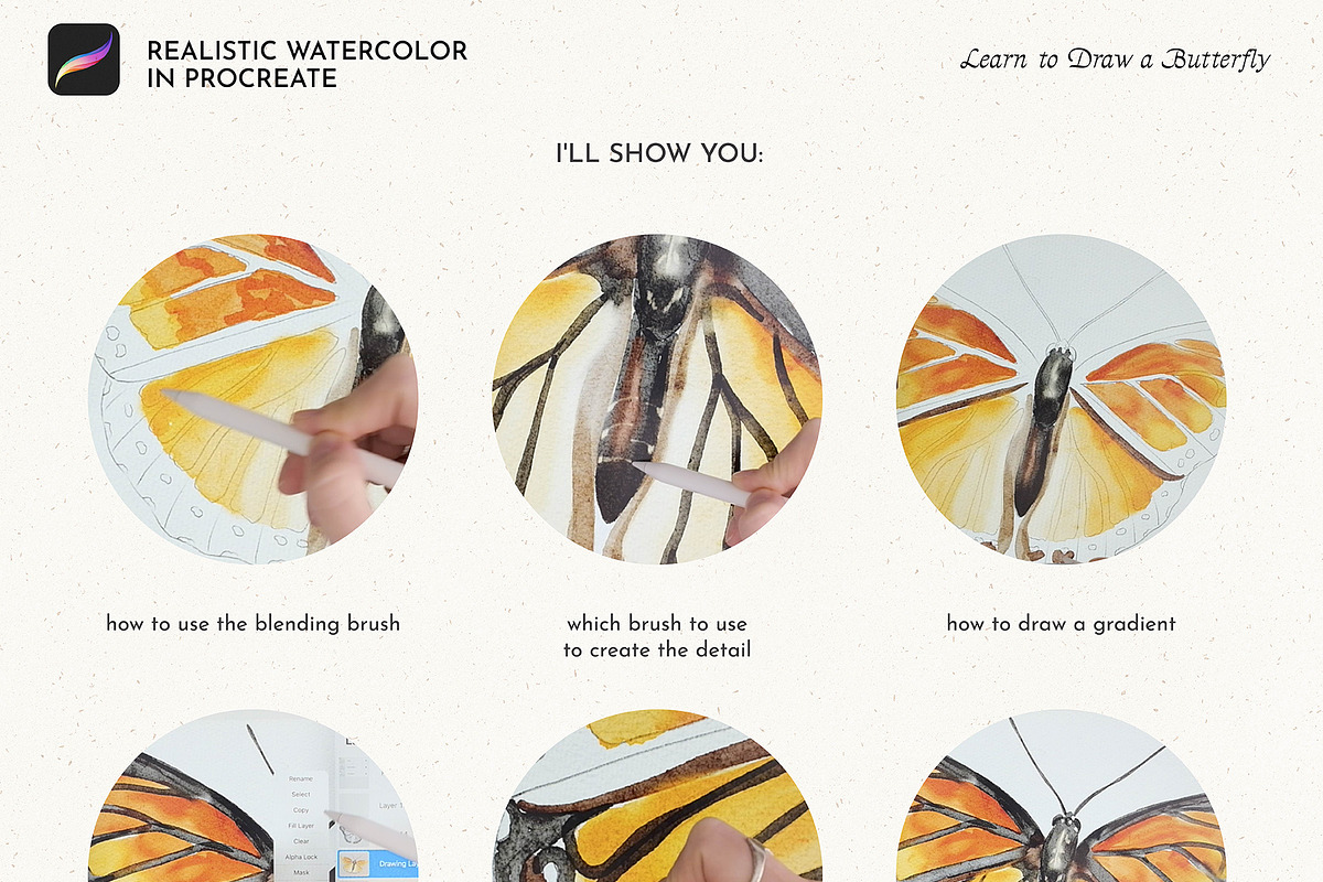 Procreate Tutorial - Butterfly, a Brush Add-On by Julia Dreams