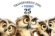 25 Owl Clipart PNGs, an Animal Illustration by Pati Charm Studio (Thumbnail 1 of 8)