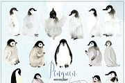 Winter Penguins. Watercolor clipart, an Animal Illustration by LABFcreations (Thumbnail 4 of 8)