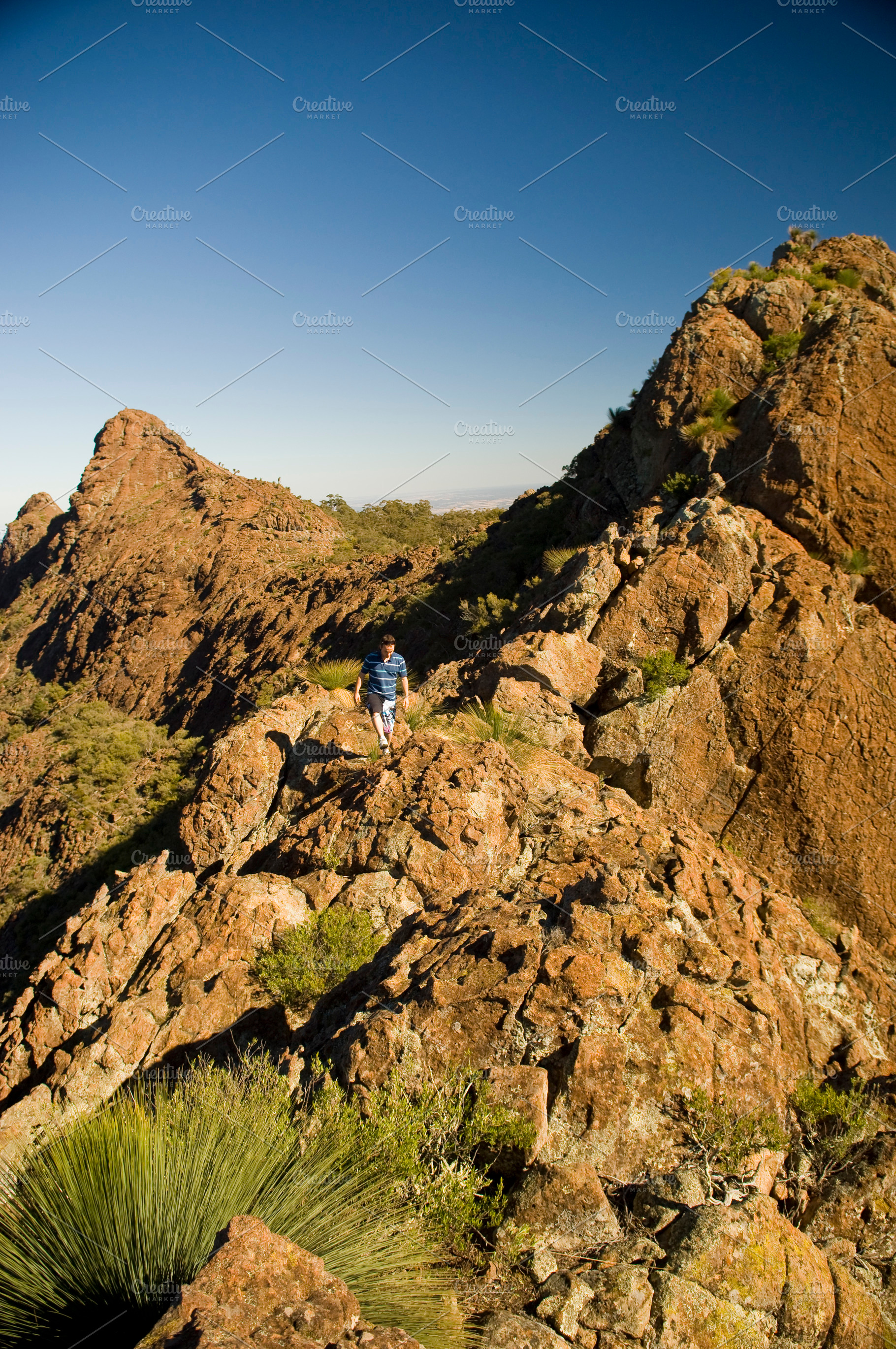 Nature Tourist, a Nature Photo by THP Creative