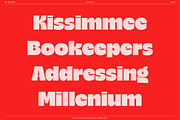 BN Buzzer Sans Serif Display Font, a Sans Serif Font by Bnick (Thumbnail 15 of 18)