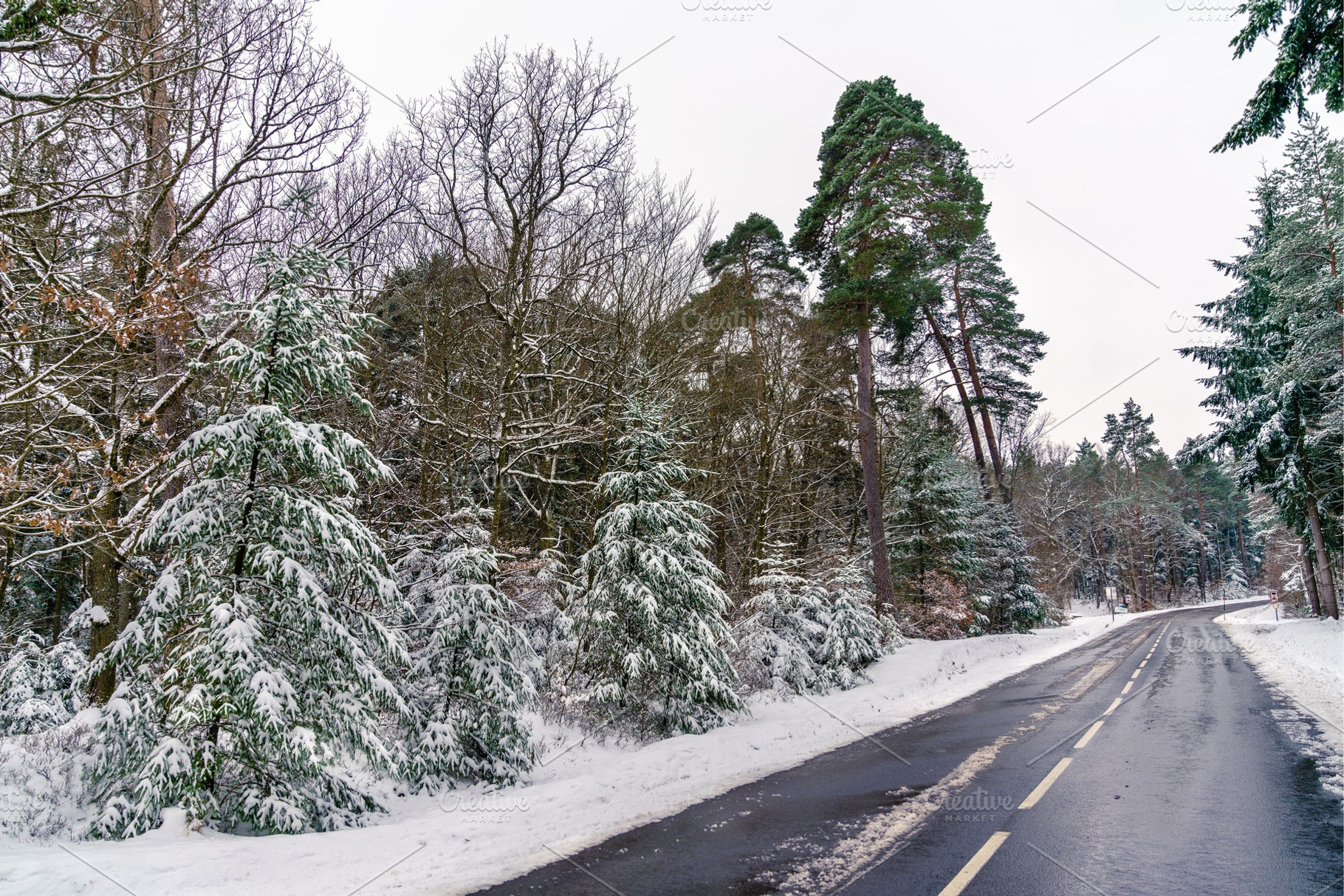 Road in the vosges mountains in winter basrhin department of france, a Nature Photo by Leonid Andronov