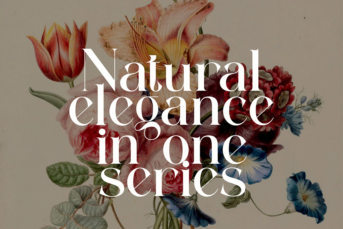 Mulnir Modern Serif Font, a Serif Font by Alfinart (Photo 8 of 11)
