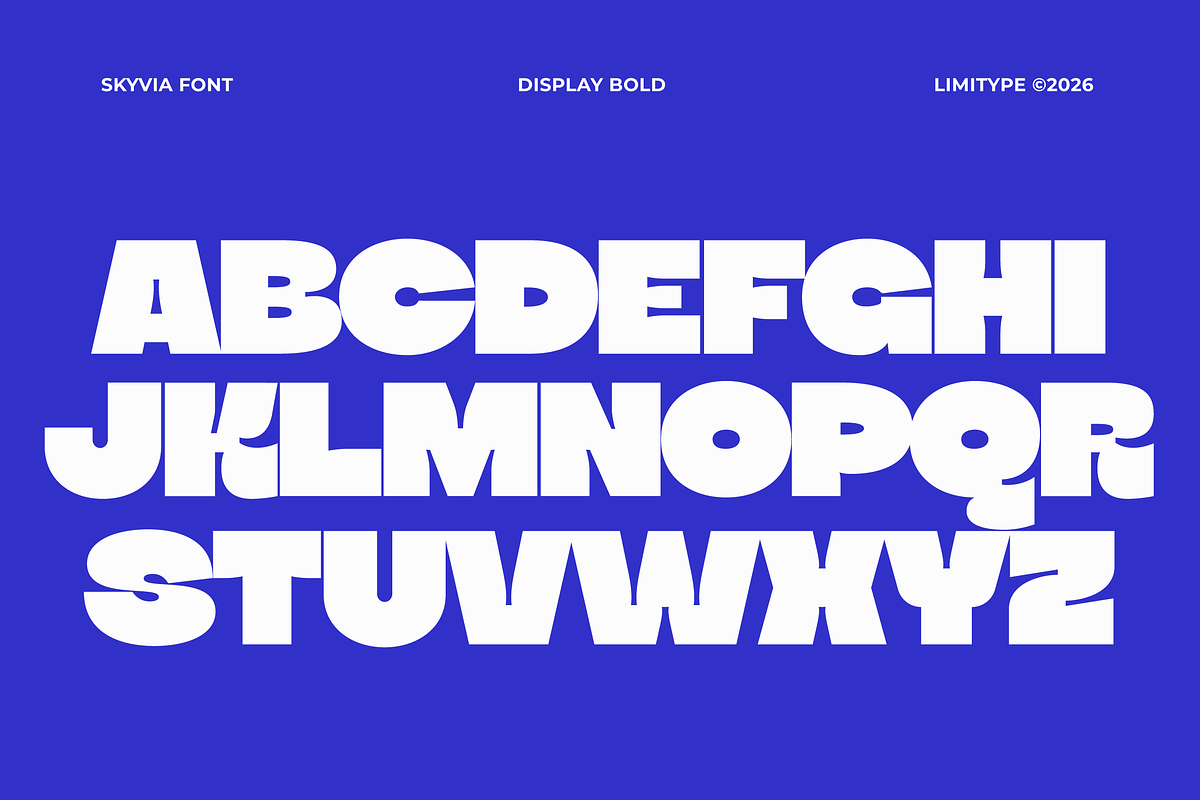Skyvia - Bold Inktrap Font, a Sans Serif Font by limitype (Photo 7 of 12)