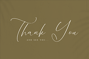Homylane Dreamyntine Chic Calligraph, a Script Font by Storytype Studio (Thumbnail 15 of 15)