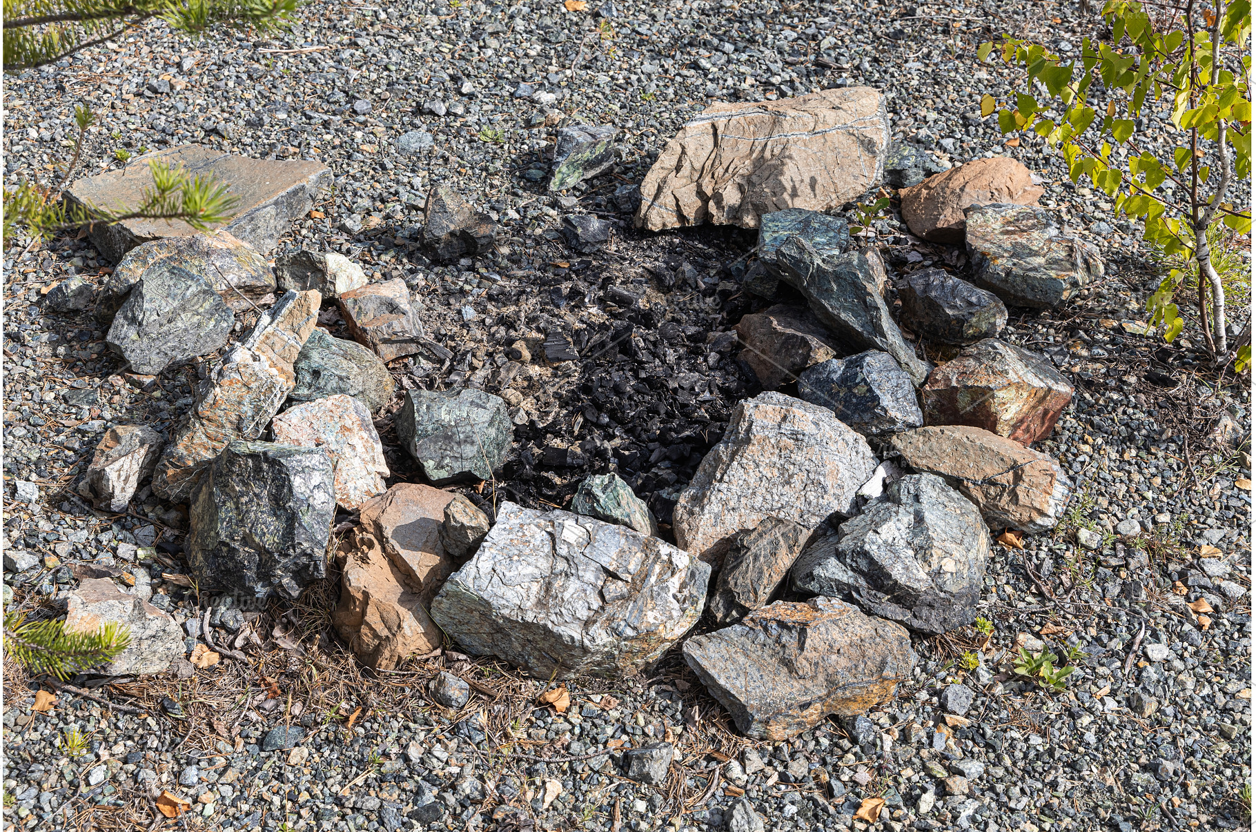 Gray and brown big stones and pine, a Nature Photo by Illustrations&photos