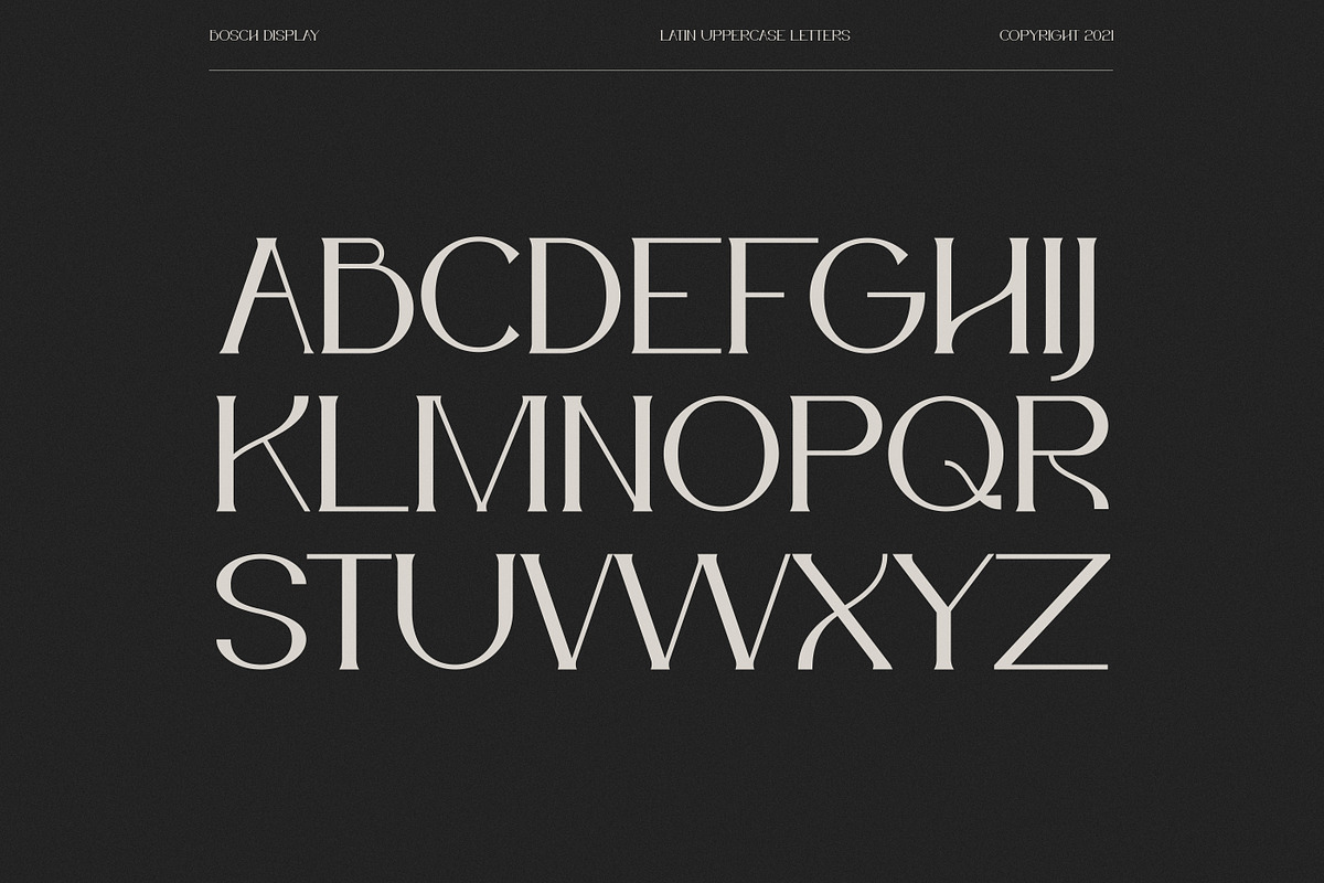 Bosch Display Font, a Serif Font by iframe fonts (Photo 5 of 14)
