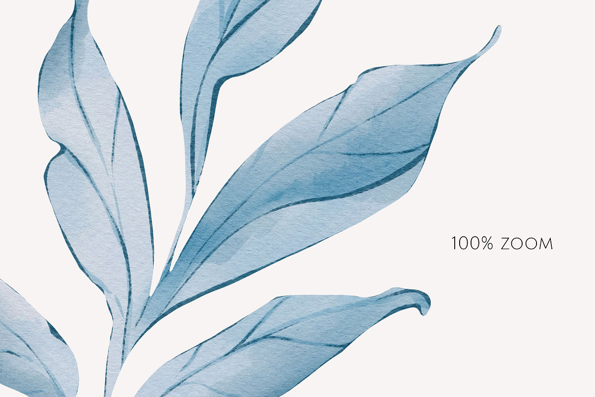 NAVY BLUE GARDEN watercolor flowers, a Decorative Illustration by Yuliia Lashevska (Photo 12 of 14)